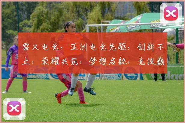 雷火电竞，亚洲电竞先驱，创新不止，荣耀共筑，梦想启航，竞技巅峰