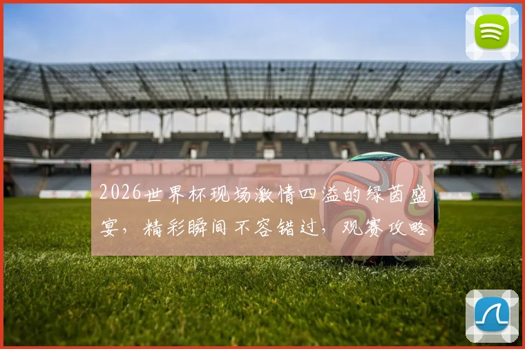 2026世界杯现场激情四溢的绿茵盛宴，精彩瞬间不容错过，观赛攻略必备