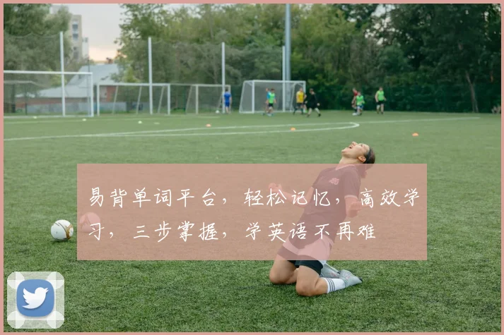 易背单词平台，轻松记忆，高效学习，三步掌握，学英语不再难