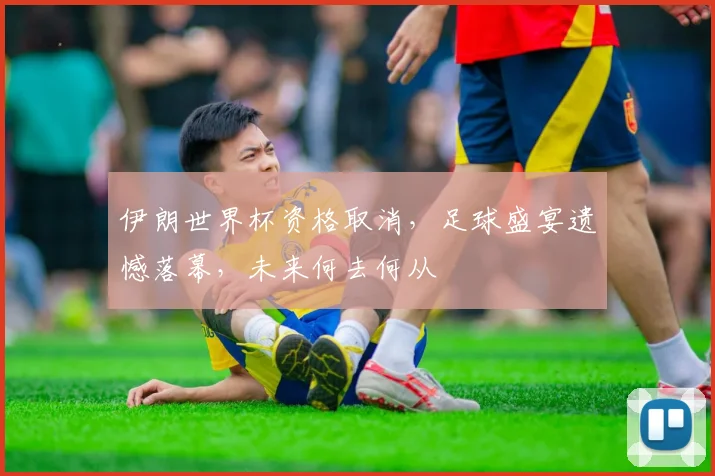 伊朗世界杯资格取消，足球盛宴遗憾落幕，未来何去何从