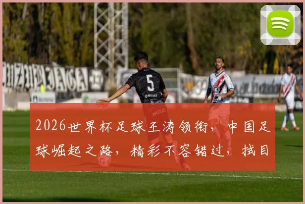 2026世界杯足球王涛领衔，中国足球崛起之路，精彩不容错过，拭目以待
