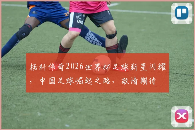 杨科伟奇2026世界杯足球新星闪耀，中国足球崛起之路，敬请期待