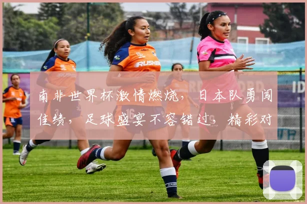 南非世界杯激情燃烧，日本队勇闯佳绩，足球盛宴不容错过，精彩对决等你来看