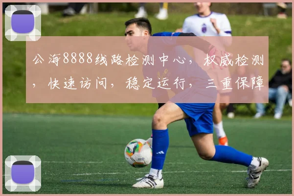 公海8888线路检测中心，权威检测，快速访问，稳定运行，三重保障，放心选择